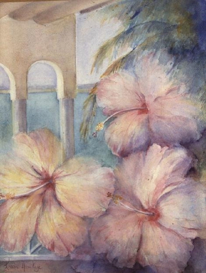 Hibiscus Pimms