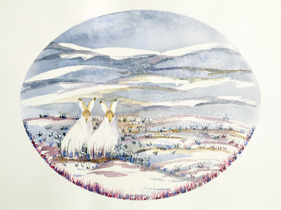 Two Hares in a Snowy Landscape (w/c)
