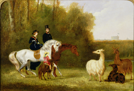 Queen Victoria, Prince Albert and the Prince of Wales at Windsor Park with their Herd of Llamas