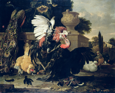 Fight between a Rooster and a Turkey, 1668 (oil on canvas)
