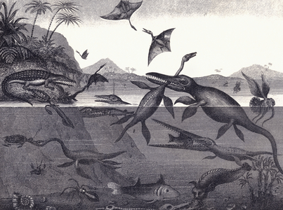 Prehistoric Animals of the Lias Group (etching)