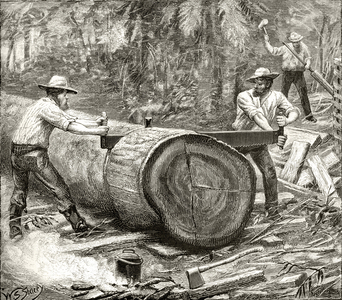Splitters in the Bush, c.1880, from 'Australian Pictures' by Howard Willoughby, published by the Religious Tract Society, London, 1886 (litho)