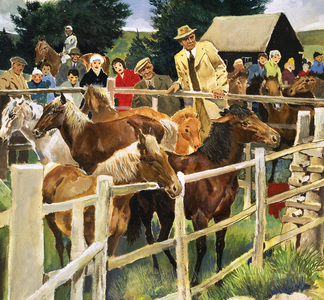 New Forest Ponies for Sale, illustration from 'Wonders of Nature', 1964 (gouache on paper)