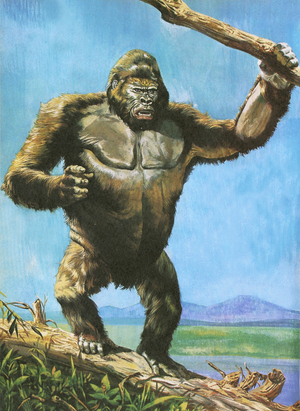 Gorilla