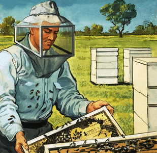 Bee keeper