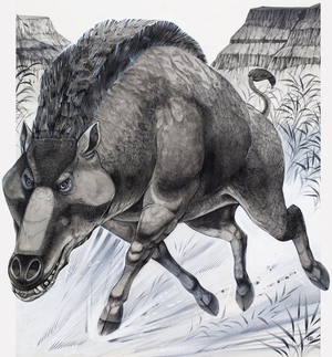 Daeodon (gouache on paper)