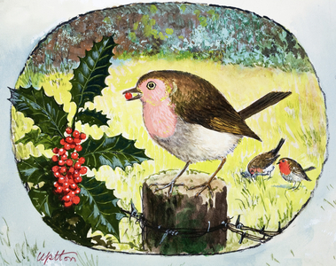 Robin