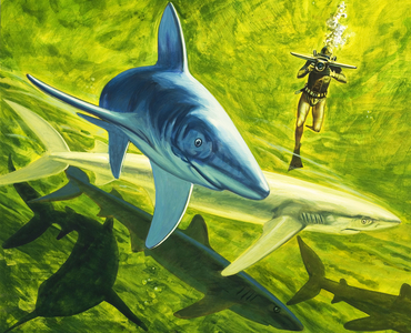 Sharks, illustration from 'Our Underwater World', 1970 (gouache on paper)