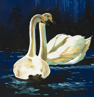 Swans