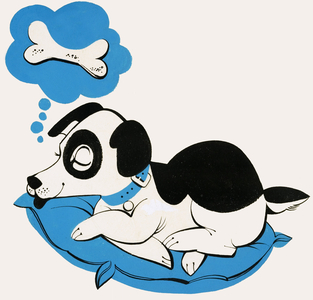 Dog dreaming of a bone
