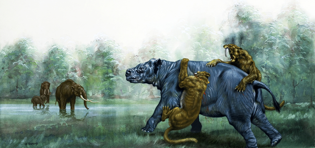 Pre-historic animals