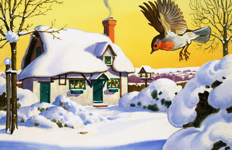 Robin flying in the snow