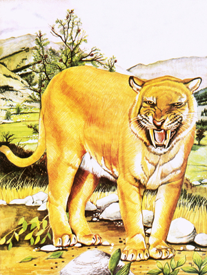Sabre-toothed tiger