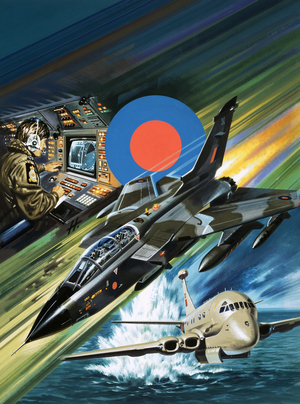 Training for the Tornado strike aircraft