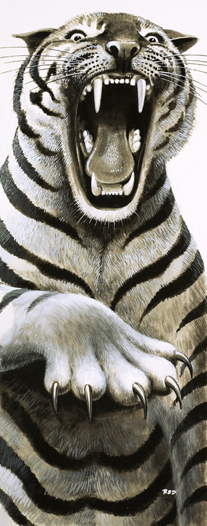 Tooth and Claw, 1972 (gouache on paper)
