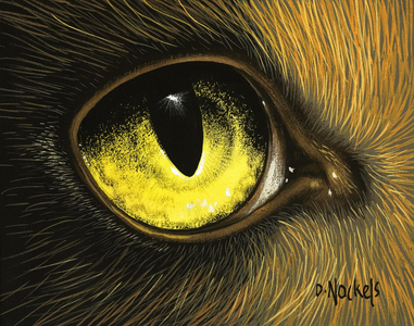 Eye of the Eagle (gouache on paper)
