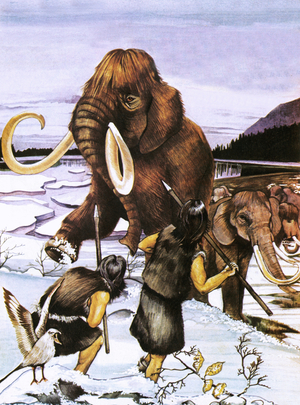 The Woolly or Siberian mammoth