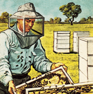 Bee keeper