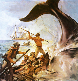 Peter the Whaler