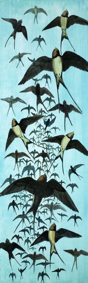 Migration of Swallows