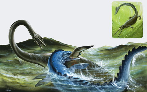 Pre-historic Fish (gouache on paper)