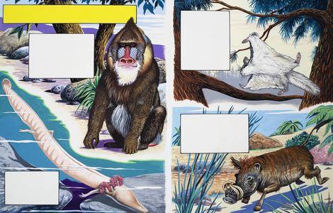 Assorted animals