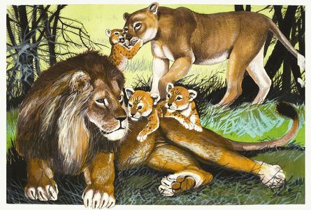 Lion, lioness and cubs