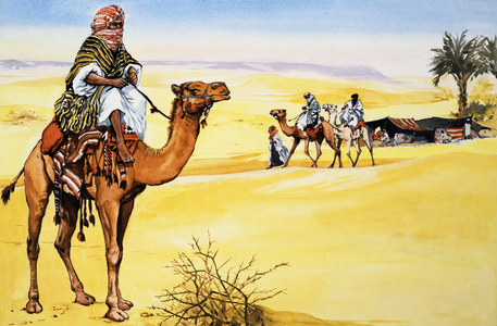 Ships of the Desert