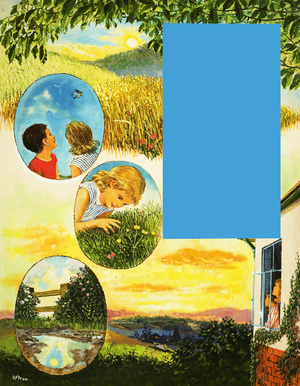 A summer's day from dawn to dusk