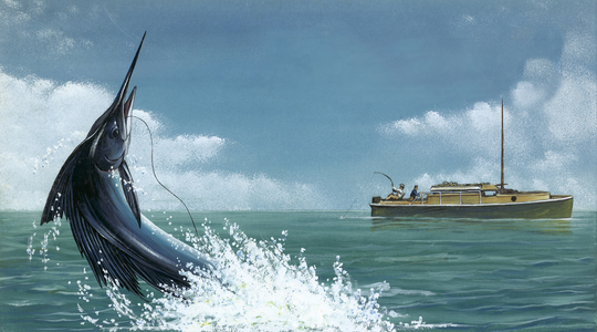 Big game fishing