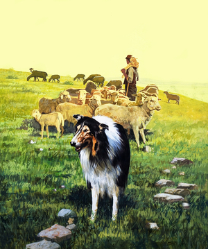 The Sheepdog, illustration from 'Once Upon a Time', 1969 (gouache on paper)