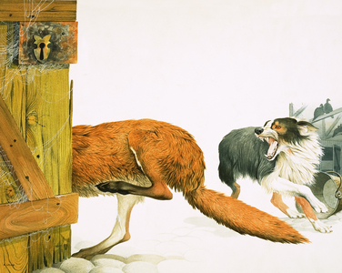 A collie dog chases off a fox