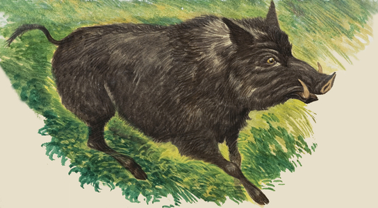 When They Were Young