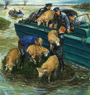 Rescuing Sheep from a Flooded Field