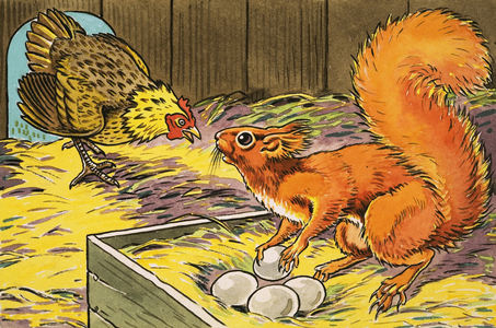 Little Red Squirrel