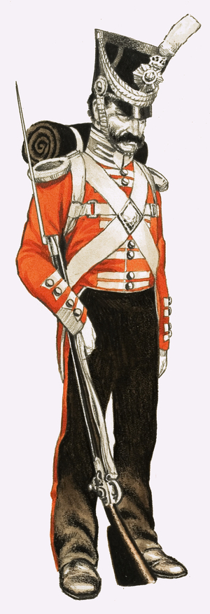 96th. Foot Private 1836