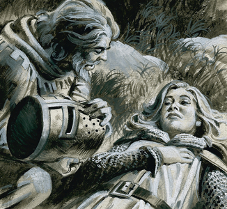 Robin Hood and Marion Fitzwalter