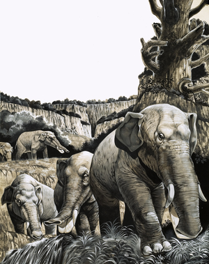 The Strange Amebelodon, 1970 (gouache on paper)
