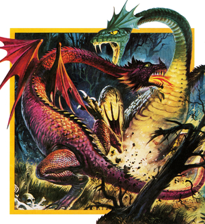Dragons fighting
