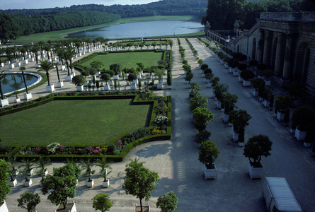 Chateau de Versailles: L'Orangerie, work by Jules Hardouin Mansart (1646-1708), with palm trees and orange trees, piece of water of the Swiss (basin). Yvelines (78).