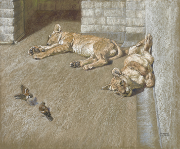 Two cubs eyeing sparrows (pastel on paper)