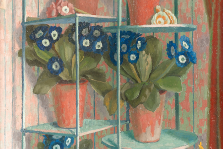 Auriculas in pots, c.1950 (w/c & pencil on paper) (detail of 244581)