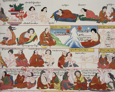 Manuscript on Tibetan medicine (detail of 389729)