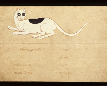 Leaf of a manuscript on Siamese cats, early 20th century (w/c on paper)