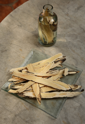Astragalus propinquus (photo)