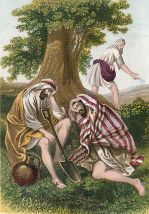 The enemy sowing tares