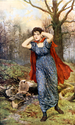 Hetty Sorrel