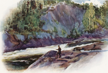 The Moon Chute, near Bala, Muskoka Lake District