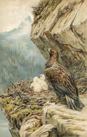 Children of the Mountain