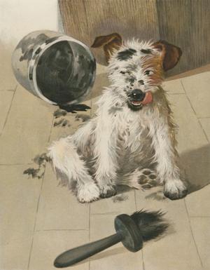 A Ragamuffin